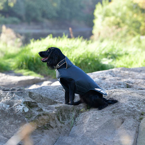 Other Animals Warmth And Comfort: Weatherbeeta Explorer Lite Dog Coat