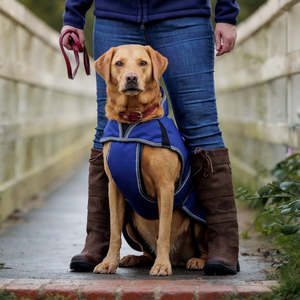 ComFiTec Premier Free Deluxe Parka Dog Coat