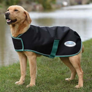 Green Tec Dog Coat