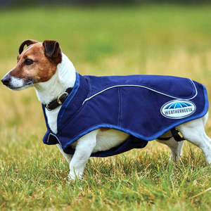 Weatherbeeta Exercise Dog Coat