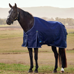 Weatherbeeta Comfitec Prelim 220g Turnout Rug