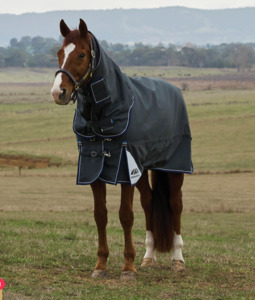 Weatherbeeta: Weatherbeeta Comfitec Ultra 100g Detach-a-neck Turnout