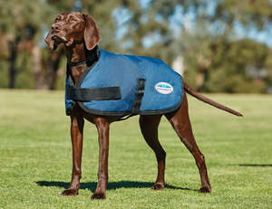 Weatherbeeta: Weatherbeeta Comfitec Classic Waterproof Dog Coat