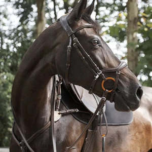 Acavallo: Acavallo Allegoria Anatomic Bridle