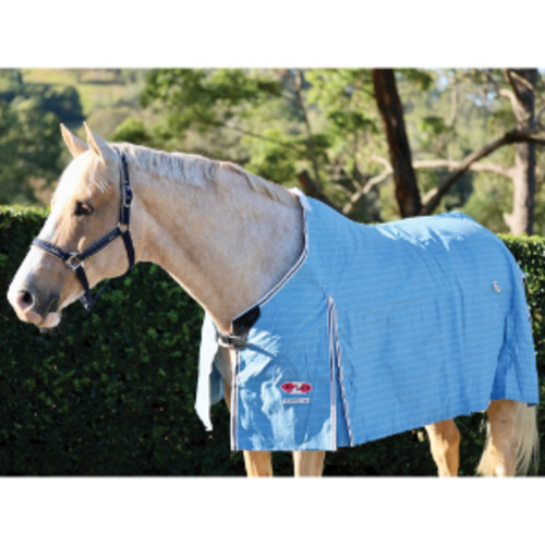 Zilco: Zilco Hamilton Canvas Rug