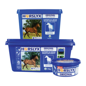 Supplements: Horslyx Original Lick