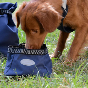 Dogs: Weatherbeeta Explorer Dog Water & Feed Bowl