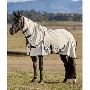 Weatherbeeta Summer Sheet Combo 2025