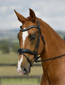 Horsewear Rugs Tack: Comfitec Opulux Raised Dressage Bridle
