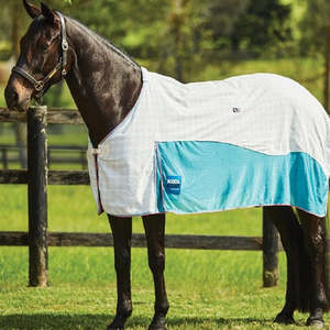 Kool Coat Airstream Rug