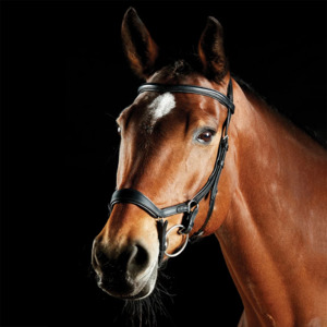 Collegiate Comfitec Daina Bridle