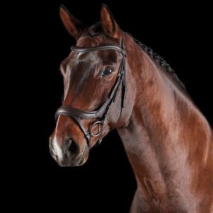 Bits Bridles: Collegiate Vogue Anatomical Bridle