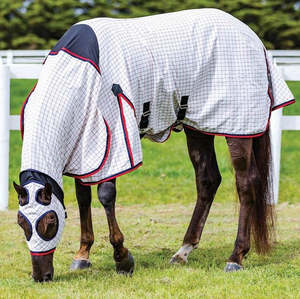 Foaling Season: Weatherbeeta Summer Sheet Lite Stretch Hooded Combo