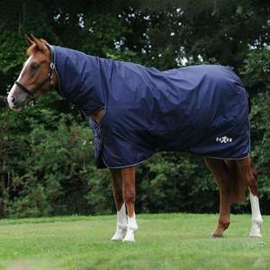 Foaling Season: Saxon Defiant Lite Combo
