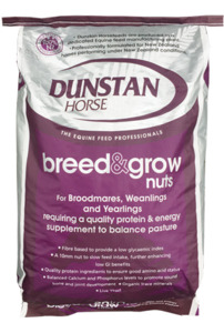Foaling Season: Dunstan Breed and Grow