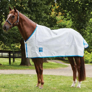 Foaling Season: Kool Coat Lite Rug Only