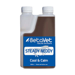 BetaVet Steady Neddy