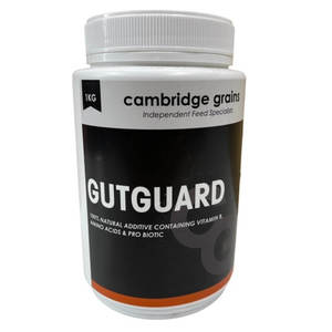 Spring Fever: Cambridge Grains GutGuard