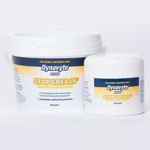 Mud Fever: Dynavyte Stop Greasy