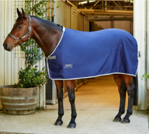 Christmas Gift Sets: Weatherbeeta Show Rug 2025