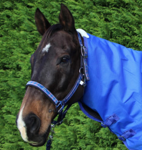 Halters: Pessoa Padded Plaid Halter