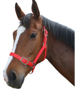 Flair Nylon Halter