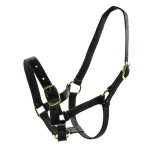 Chevalier Foal Halter w Brass