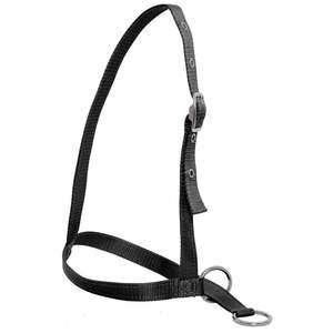 Chevalier Small Animal Halter