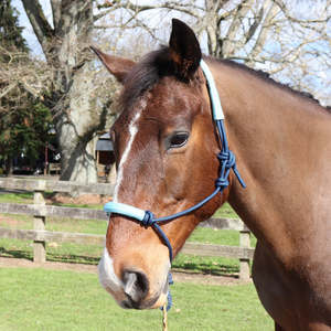 Chevalier Soft Touch Rope Halter