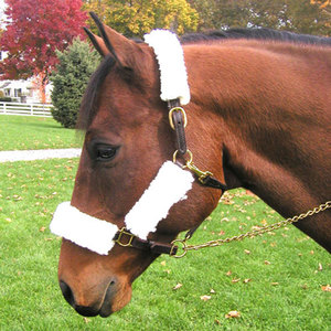 Products: Fleece Sleeve Set For Halters - HorsePlay NZ