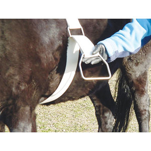 Mounting Aid for bareback riding with waist pack - HorsePlay NZ