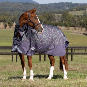 Equestrian Supplies On Sale: Weatherbeeta ComFiTec Plus Dynamic II Combo Neck Medium/Lite - Abstract Floral