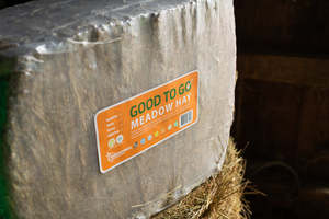 Meadow Hay Compact Bale - Wrapped