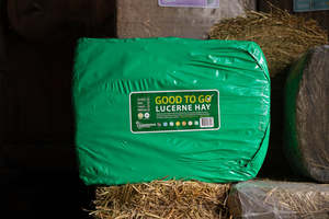 Horse Feed: Lucerne Hay Compact Bale - Wrapped