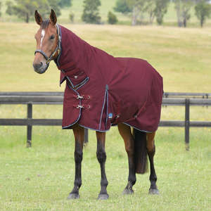 Horse Covers Nz: Weatherbeeta ComFiTec Essential Turnout Combo Rug - Lite