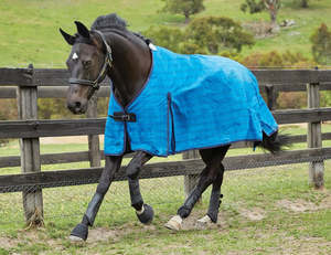 Horse Covers Nz: Weatherbeeta Unlined Canvas Standard Neck