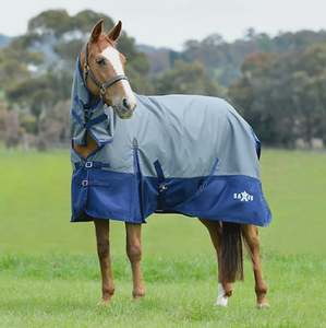 Horse Covers Nz: Saxon Defiant with Buckle 600D Combo Neck Lite Cover - Grey/Navy