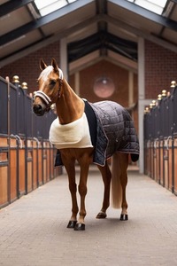 Horse Covers Nz: Horze Comfort Shoulder Guard