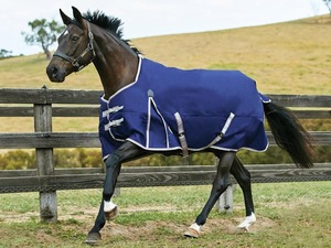 Weatherbeeta Horse Covers: Weatherbeeta ComFiTec Essential Standard Neck Rug - Lite Plus