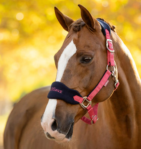LeMieux Vogue Headcollar & Leadrope - AW25