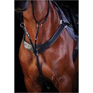 Collegiate: Collegiate Three Point Breastplate