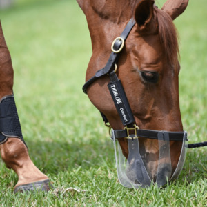 Thinline Saddle Pads: Flexible Filly Grazing Muzzle