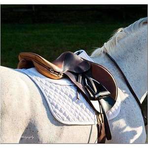 Thinline Saddle Pads: Thinline Trifecta Cotton Half Pad
