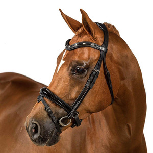 Bridles: Flexible Fit Premium Astral Snaffle Bridle