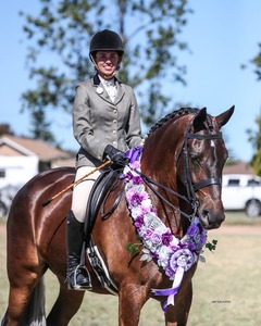Bridles: WHE Australian Classic Weymouth Bridle - Complete with Reins