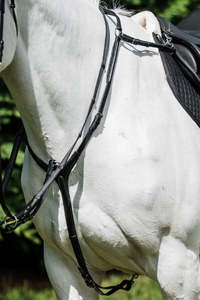 Cavallino Martingale Breastplate with Expansion