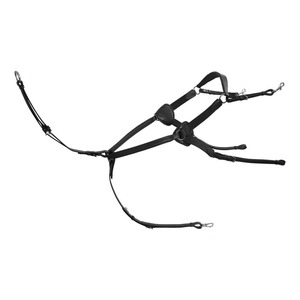 Breastplates: Platinum 5 Point Breastplate