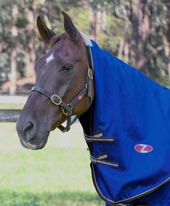 Zilco Garrison Neck Rug - Dark Blue