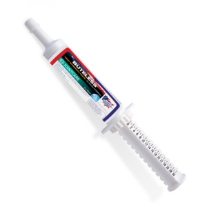 Equine America: Equine America Buteless High Strength Paste - 30ml