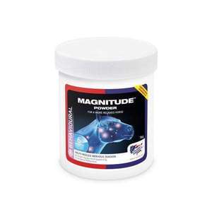 Equine America: Equine America Magnitude Magnesium Powder 1K